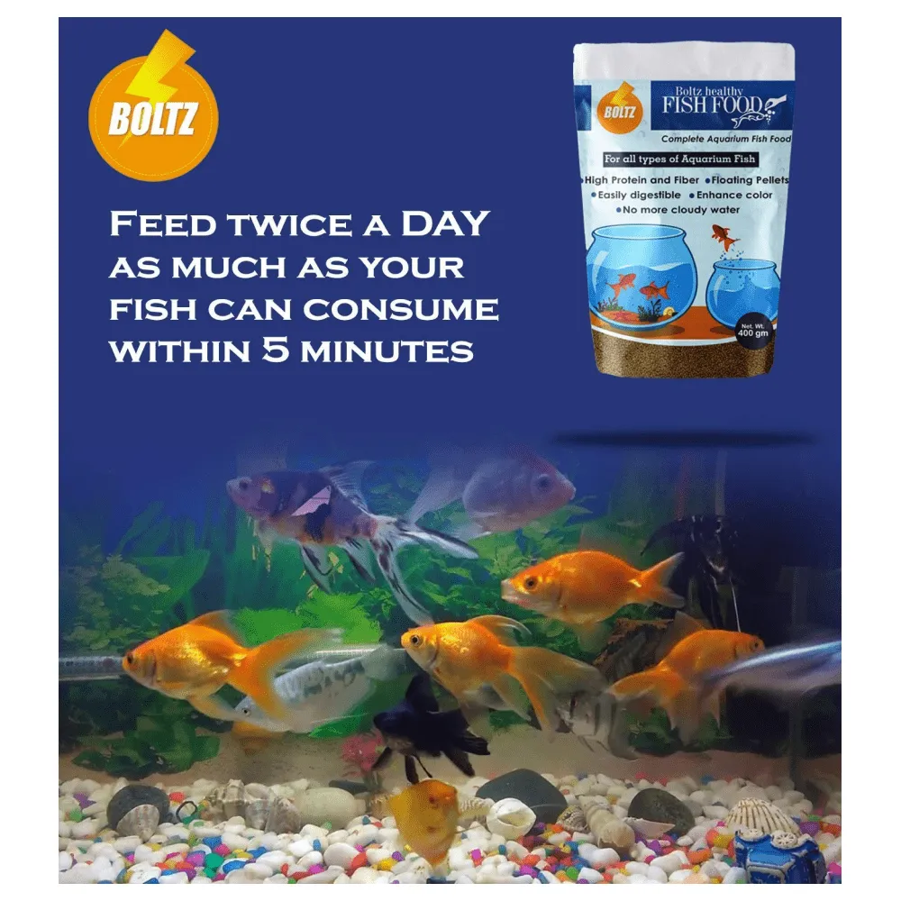 Boltz Healthy Fish Food (Limited Shelf Life)