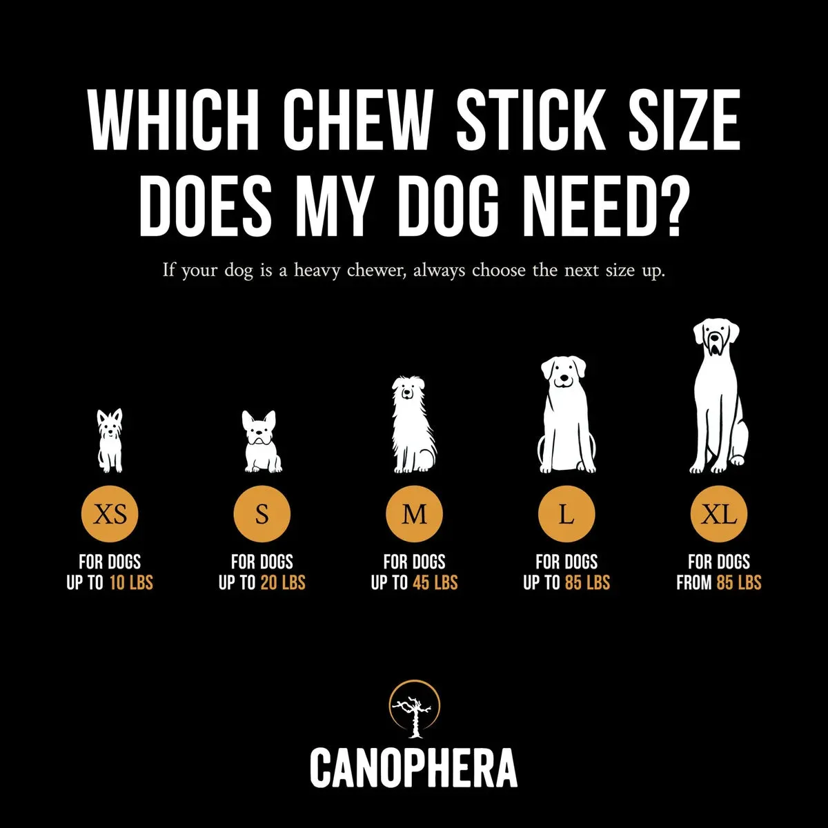 Canophera Tree Wood Chew