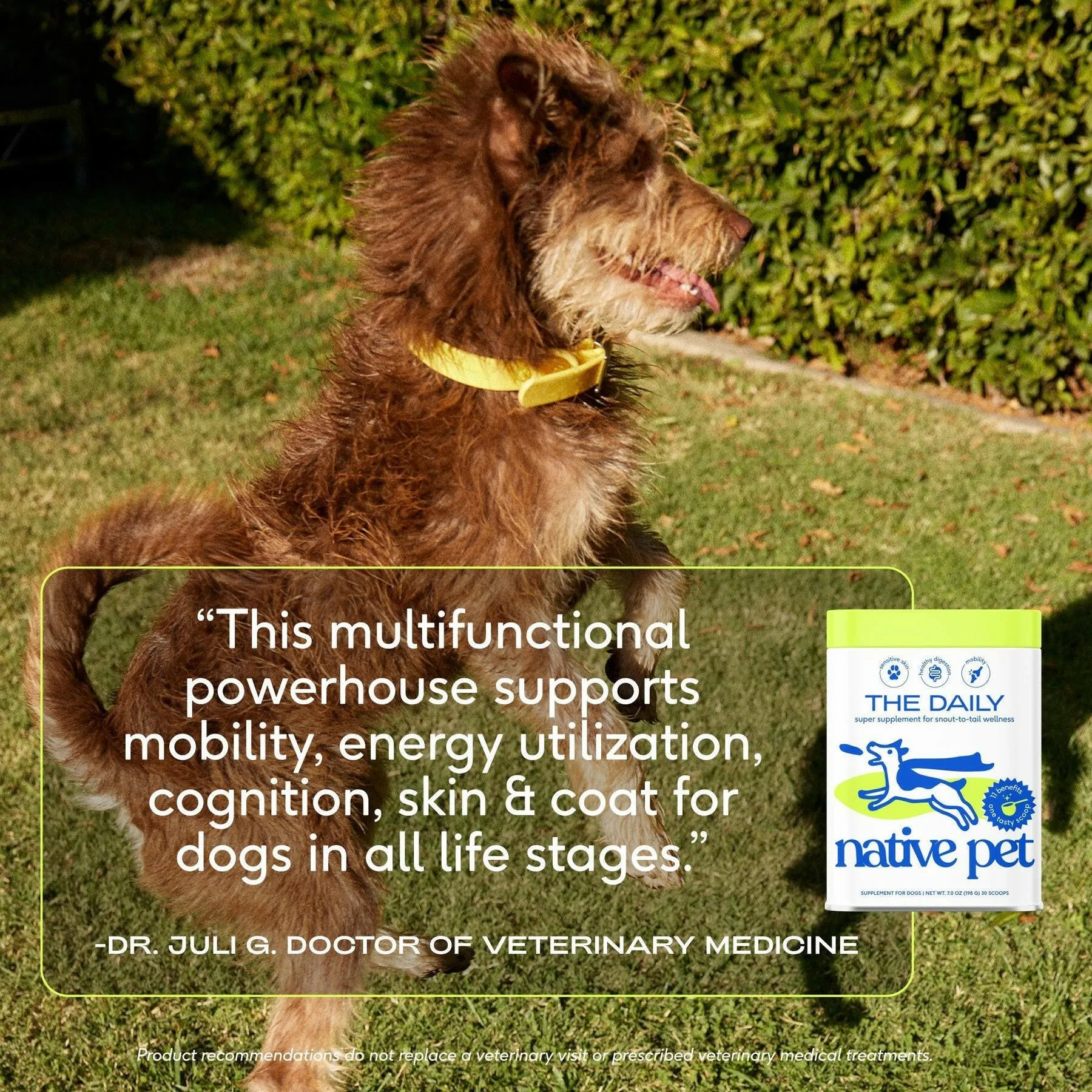 Native Pet The Daily Powder Supplement 11-in-1 Multivitamins for Dogs