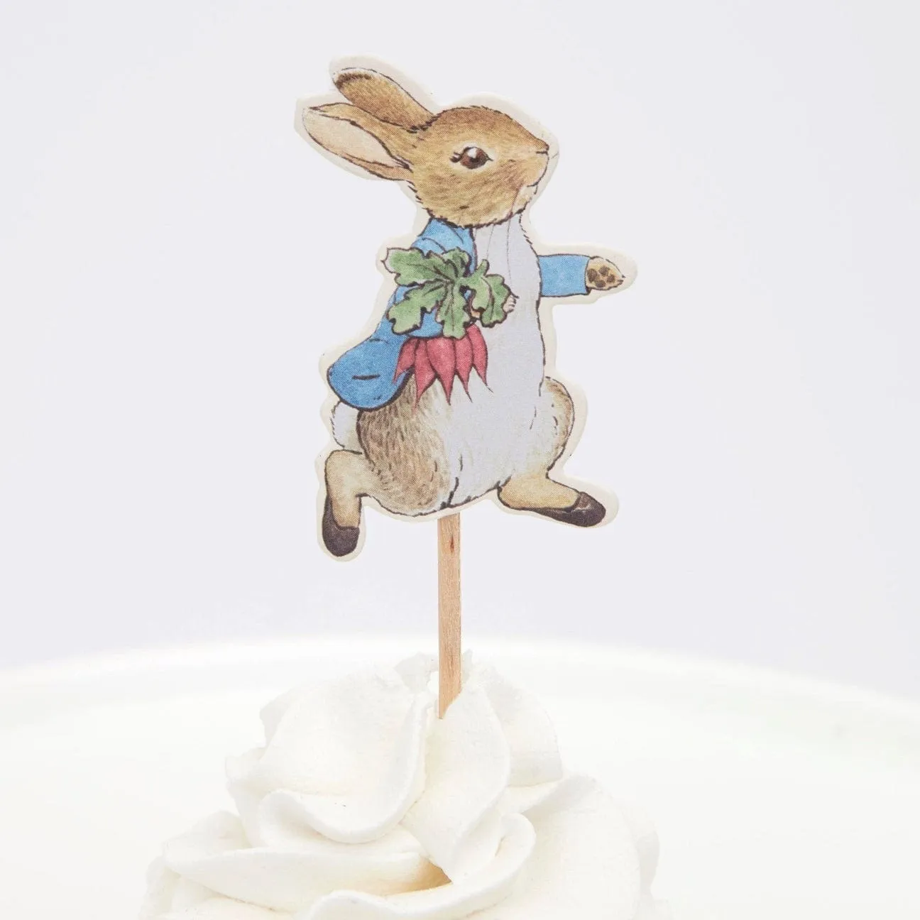 Peter Rabbit™ & Friends Party Picks (x 12)