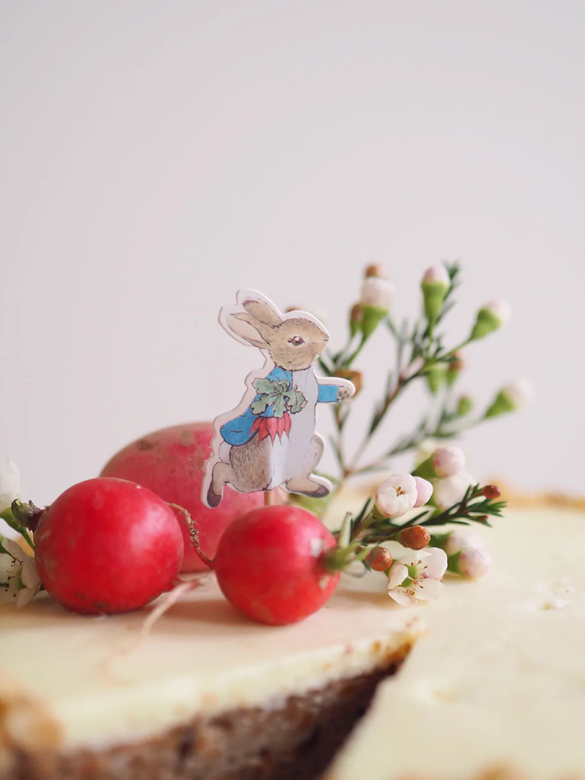 Peter Rabbit & Friends Party Picks