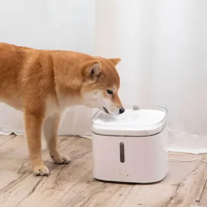 Smart Automatic Pet Water Dispenser