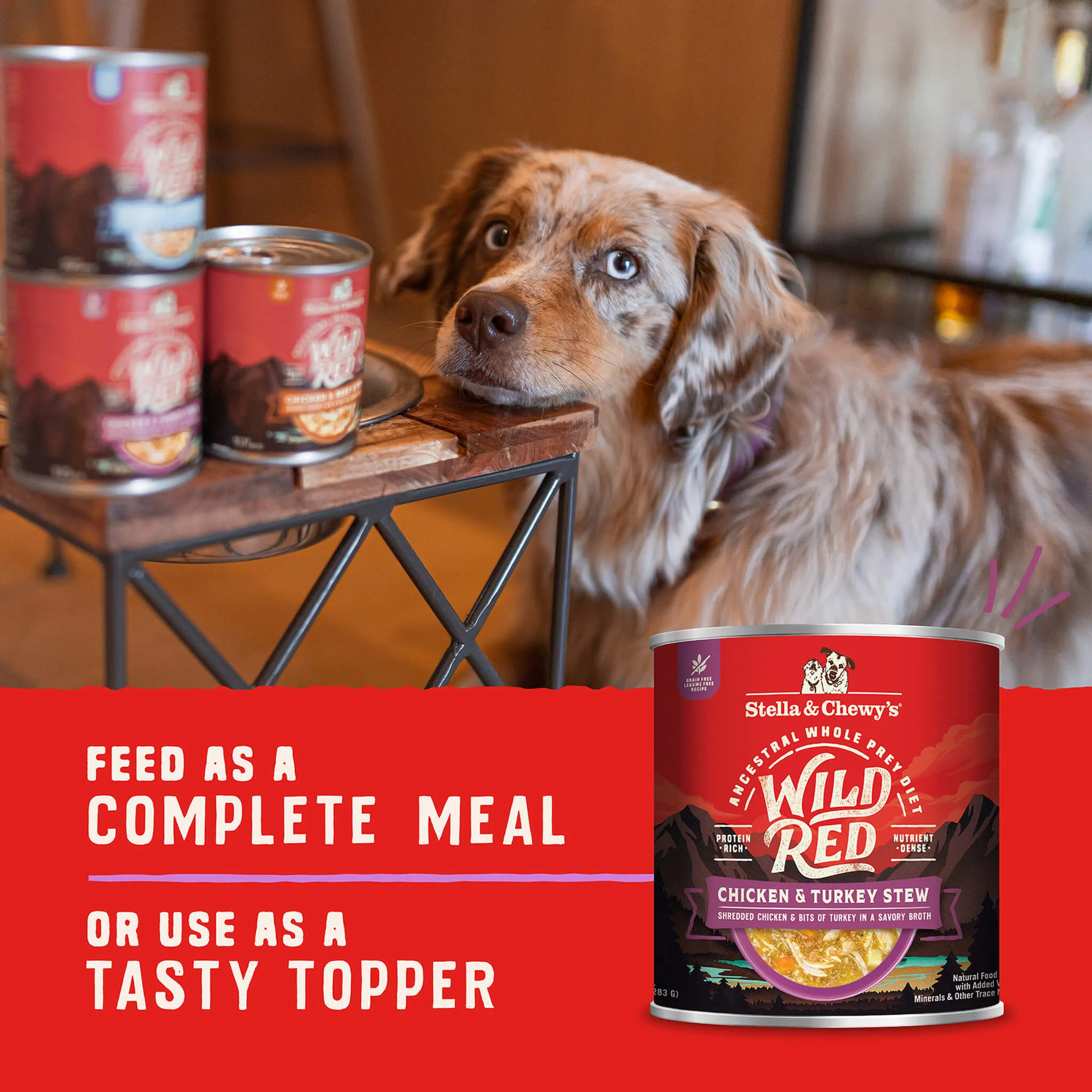Stella & Chewy's Wild Red Dog Stew