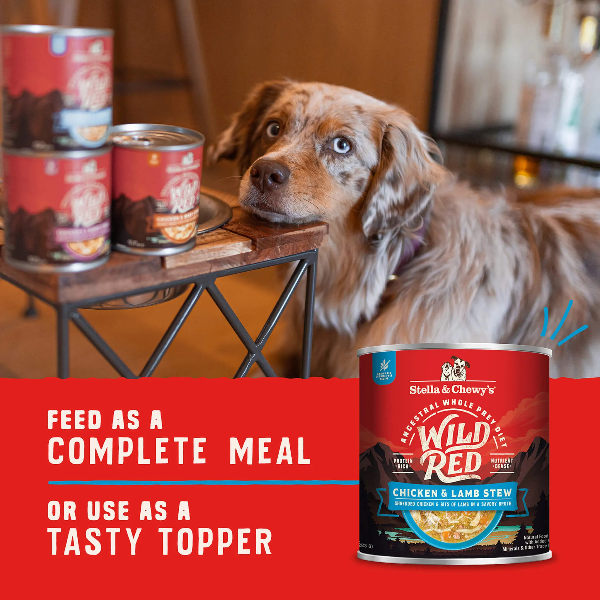 Stella & Chewy's Wild Red Dog Stew