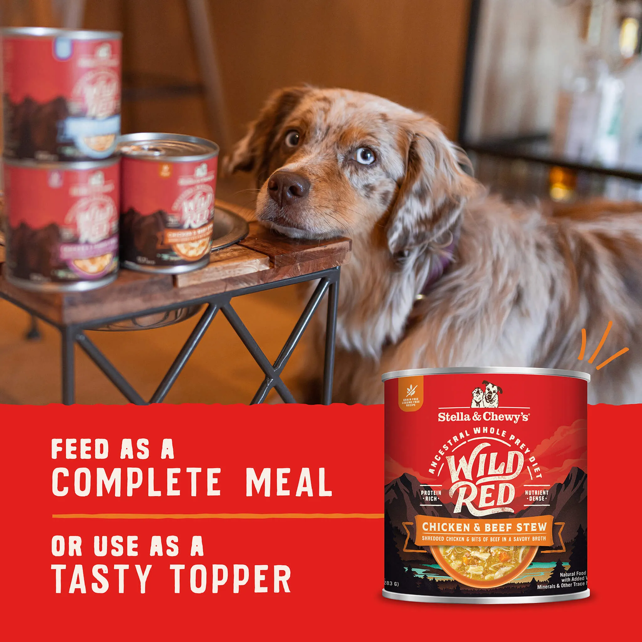 Stella & Chewy's Wild Red Dog Stew