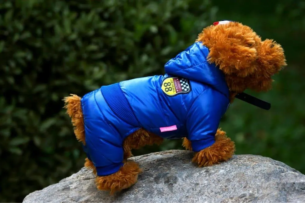 Waterproof Winter Coat for Dogs