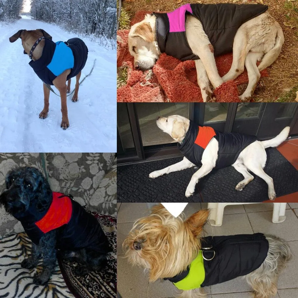 Waterproof Winter Jacket For Dogs