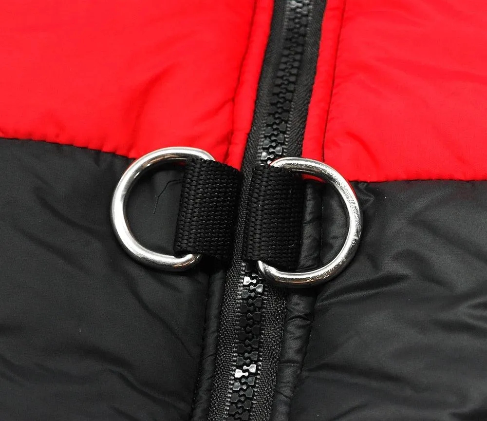 Waterproof Winter Jacket For Dogs