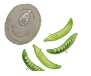 Yes You Canned, Pea's