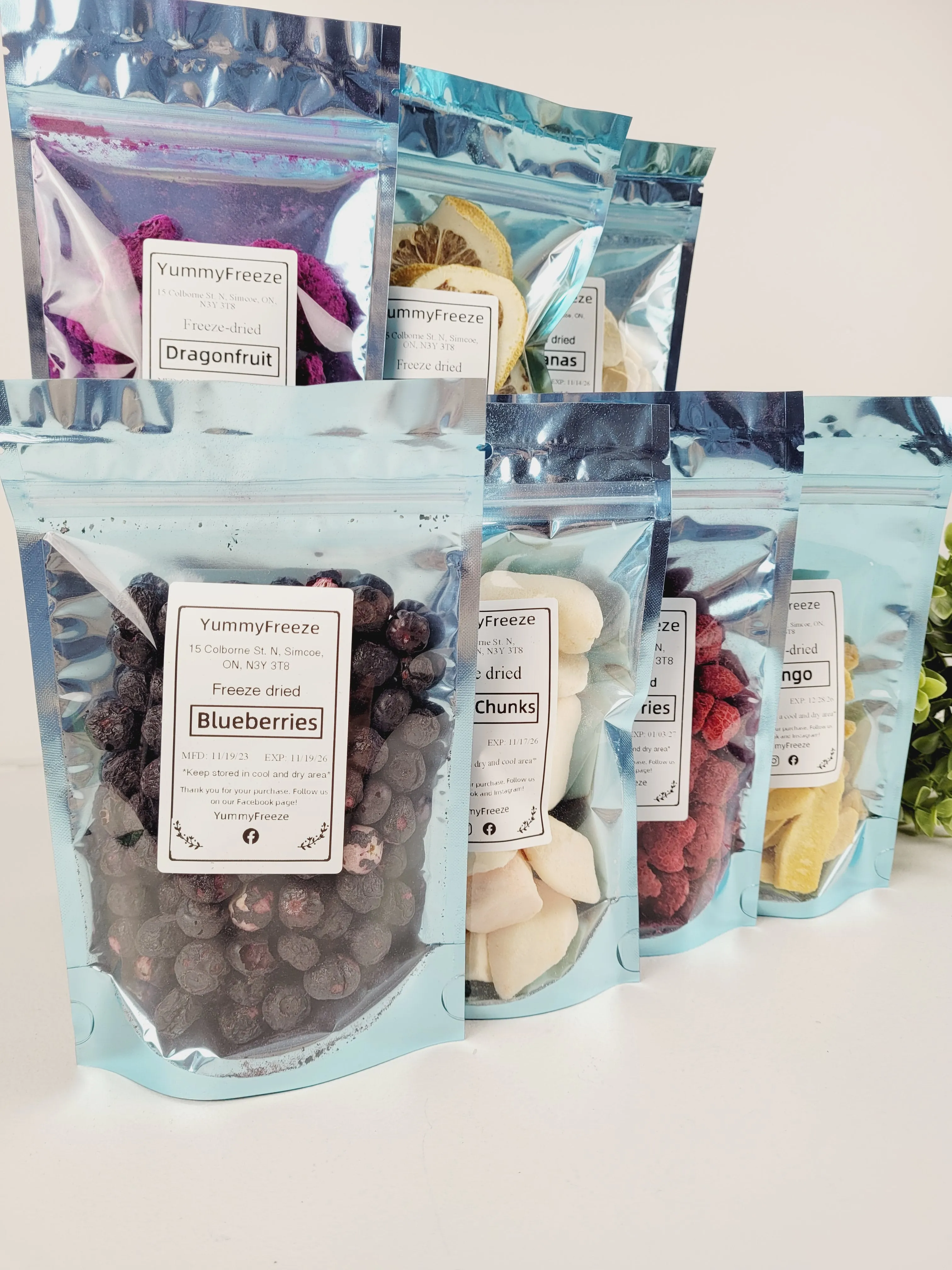 Yummy Freeze, Freeze Dried Fruits